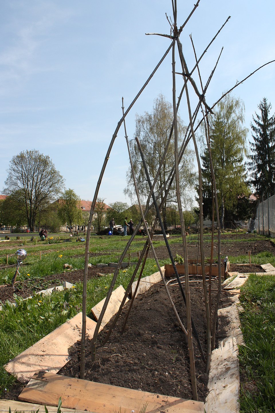 Grow Up Interkultureller Garten In Kriegshaber Nachhaltigkeit